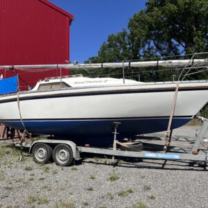 Lupus 24